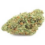 Шишки OG Kush  (Гидропоника, бошки) VHQ в Тереке
